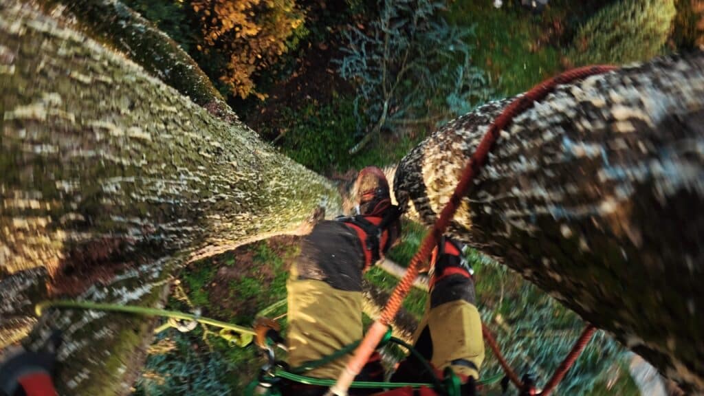 POV-Actionshot Helmkamera-Perspektive Baumpflege-Einsatz Kletterseil-Setup Sicherheitsausrüstung-Detail Outdoor-Industrie Imagefilm-Dreh Recruiting-Video Handwerk-Branding