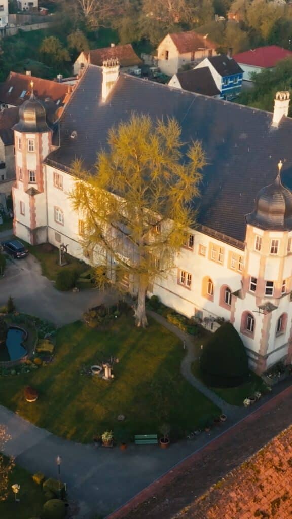 Drohnen-Luftaufnahme Schloss-Architektur historische-Location Imagefilm-Motiv Golden-Hour Park-und-Hofanlage Kulturdenkmal-Inszenierung