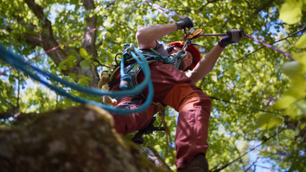 Baumpflege-Einsatz, Industriekletterer-Action, Seiltechnik-Detail, Sicherheitsausrüstung-Nahaufnahme, Outdoor-Imagefilm-Dreh, Recruiting-Video-Content, Low-Angle-Perspektive, Natur-Umgebung