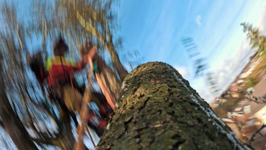 Baumpflege-Einsatz, Seil-Klettertechnik, Kletterer-mit-Sicherungsseil, Outdoor-Imagefilm, Action-Kamera-Perspektive, starke-Bewegungsunschärfe, Natur-Location, Recruiting-Video