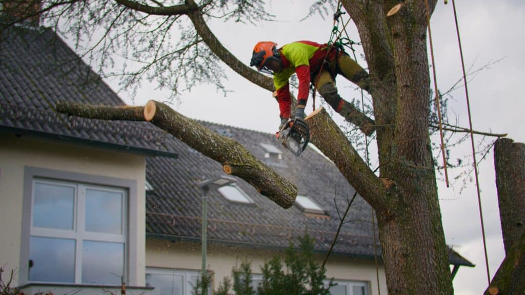 Baumpflege-Einsatz Kettensäge-Schnitt Höhenarbeit-Sicherung On-Location-Dreh Handwerks-Imagefilm Recruiting-Video-Handwerk Wohnhaus-Umgebung Arbeitsschutz-Equipment