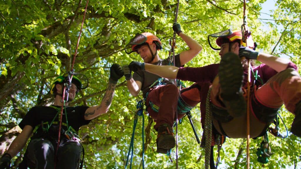 Recruiting-Video Baumpflege-Team Outdoor-Dreh Seilzugangs-Technik Arbeitssicherheits-Equipment Teamwork-Faustgruß Natur-Location Imagefilm-Dreh