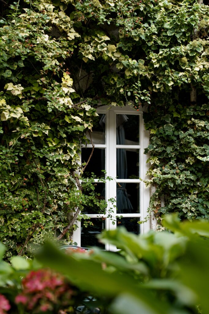 location-scouting, außen-aufnahme, efeu-bewachsene-fassade, weißes-sprossenfenster, garten-ambiente, natur-b-roll, imagefilm-stimmung, nachhaltigkeits-video, architektur-detail