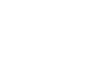 Elecon Logo