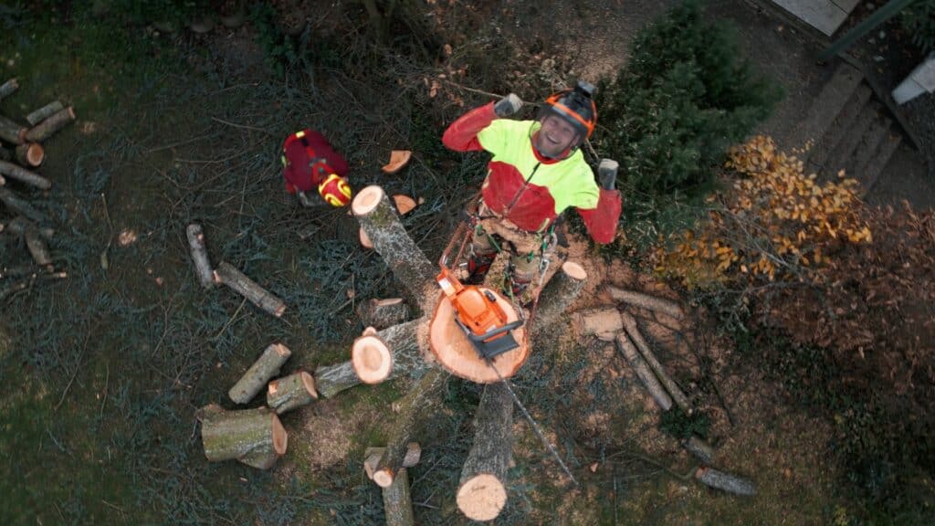 drohnen-aufnahme baumpflege-einsatz baumfällung-handwerk kettensäge-sicherheitsausrüstung höhenarbeit-seilklettertechnik arbeitssicherheit-psa forst-arbeiten outdoor-location imagefilm-dreh recruiting-video