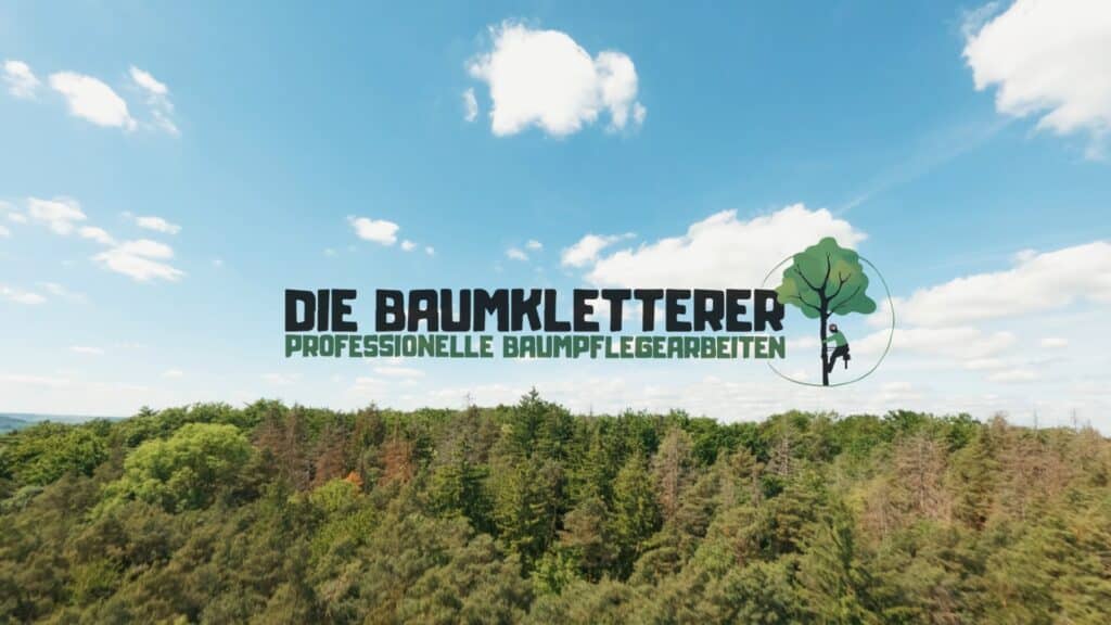 drohnenaufnahme-waldlandschaft firmenlogo-animation titelgrafik-intro imagefilm-baumpflege naturdienstleister-b2b luftbild-aufmacher