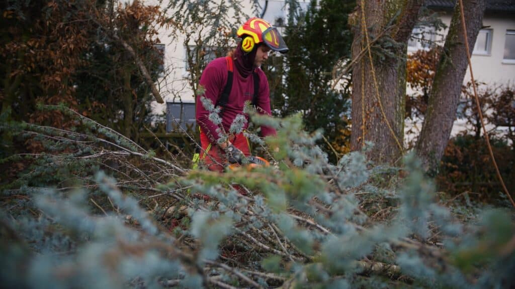 Imagefilm-Dreh, Recruiting-Video, Baumpflege-Einsatz, Baumfällung-Szene, Kettensäge-Action, Sicherheitsausrüstung-Detail, Forstbetrieb-Outdoor, Handwerk-Dokumentation