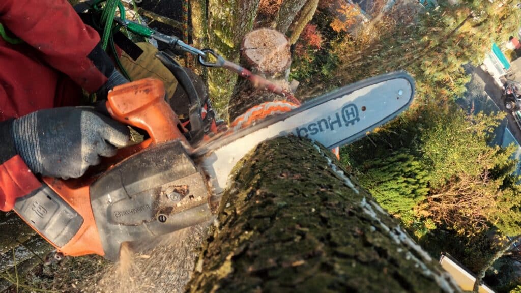 Baumpflege-Motorsäge-Nahaufnahme Höhenarbeit-Seiltechnik Sicherheitsausrüstung-Detail Späne-Actionshot Kamera-Setup-POV On-Location-Dreh Recruiting-Video-Handwerk