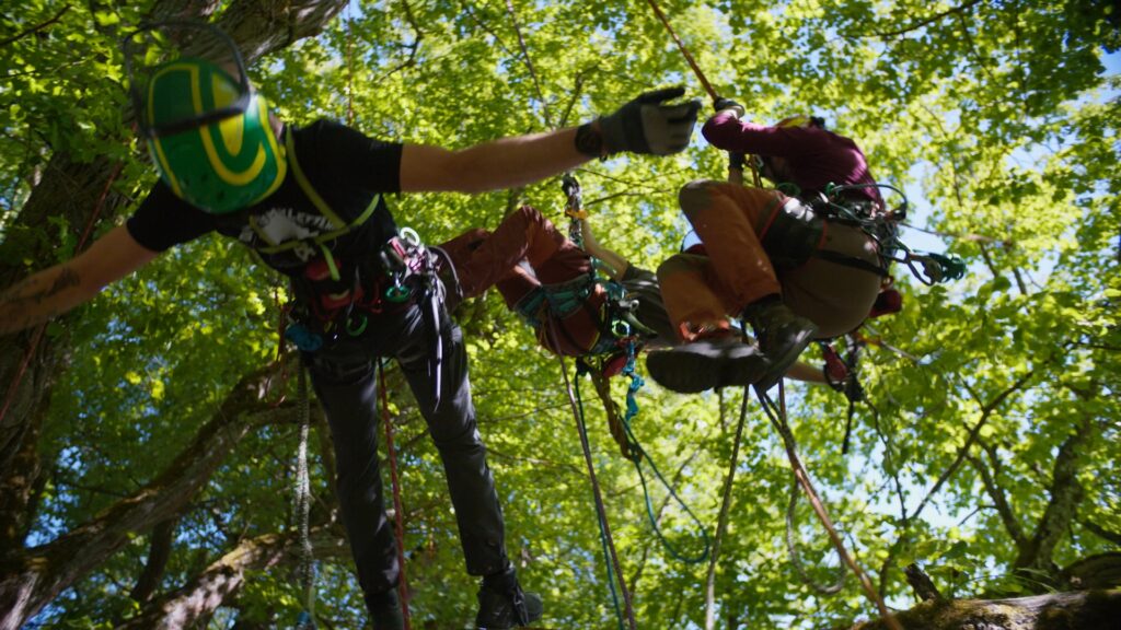 Imagefilm-Dreh Industriekletterer-Action Baumpflege-Einsatz Outdoor-Seiltechnik Sicherheitsausrüstung-Detail Natur-Setting Kamera-Untersicht On-Location-Produktion Recruiting-Video